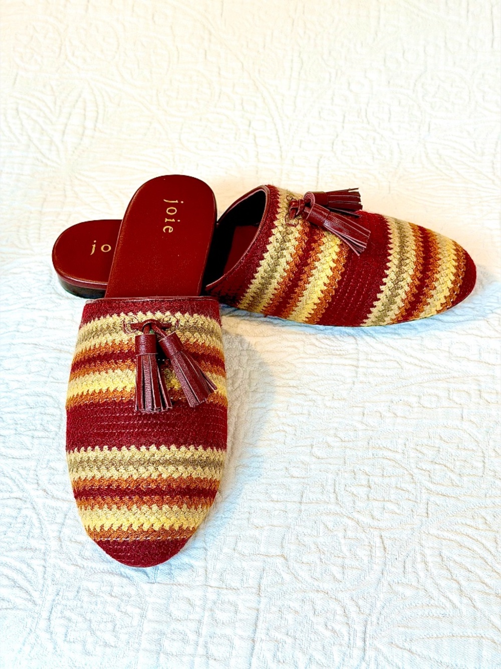 Women's Joie Lucite Tassel Mule Flats in Dark Red Striped Fabric Print
